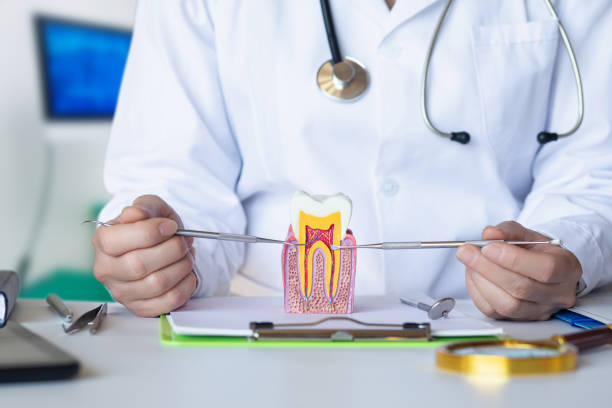 Best Emergency Treatment for Dental Infections or Abscesses in Anacortes, WA